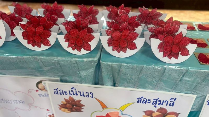 กิจกรรมการเรียนรู้แบบ Poject Approach ระดับชั้นอนุบาล 2